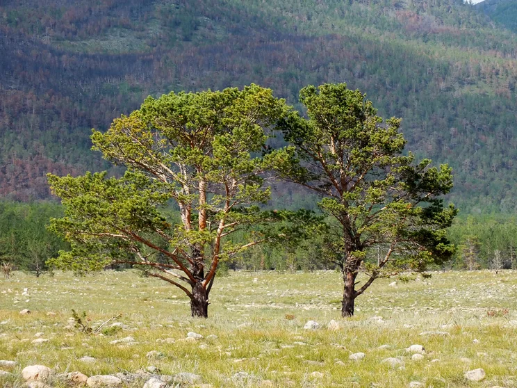 Байкальская сказка, день 7, фото 1